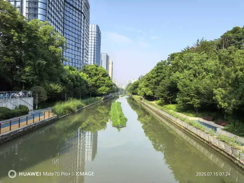 河畔绿意浓