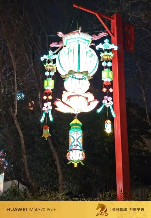 莲荷宫灯