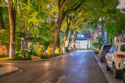 林荫夜路