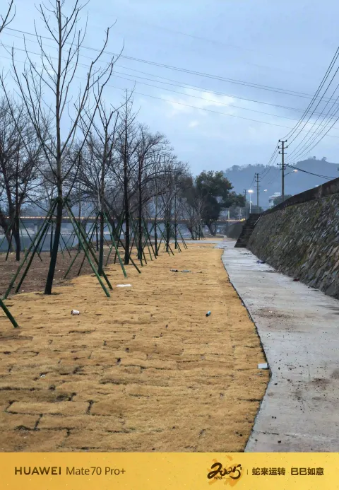 堤岸边的小路