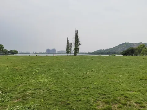 大草坪
