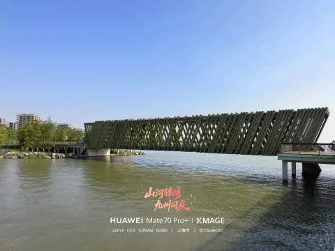 横跨湖面的特色景观桥
