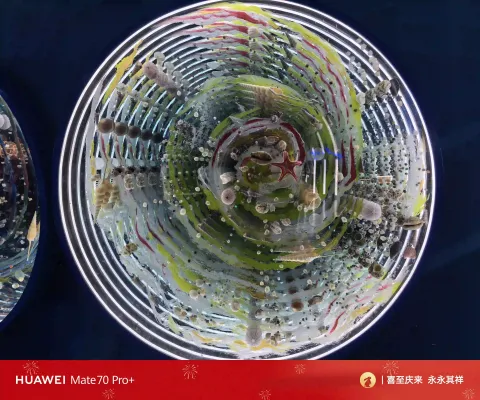 海洋微观万花筒