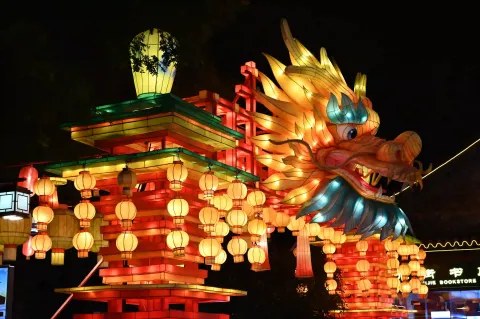 龙形花灯