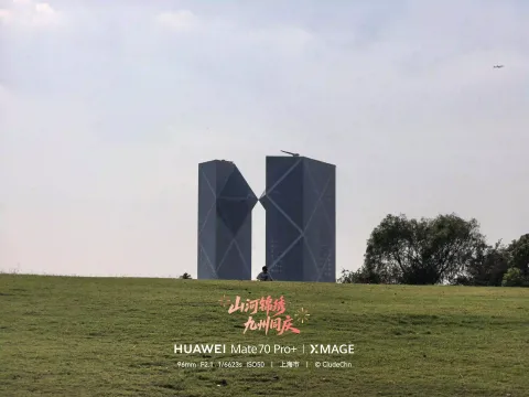 草坪坡顶遥望双子楼