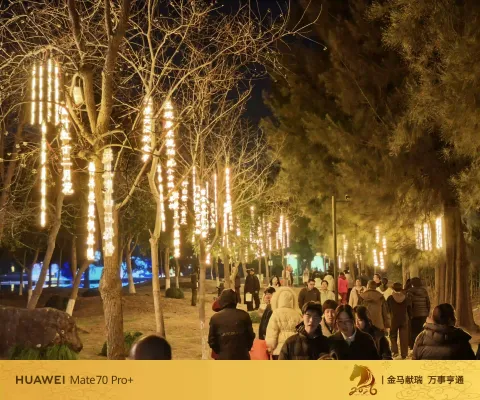 诗挂枝头，灯映游人