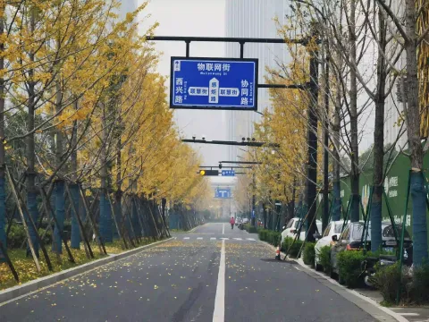物联网街秋景