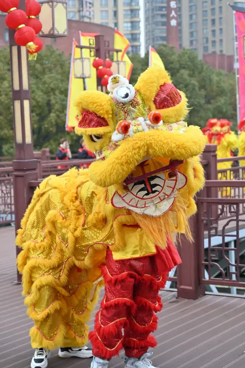 湖州踩街活动-舞狮
