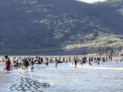 沙滩上的夏日喧嚣