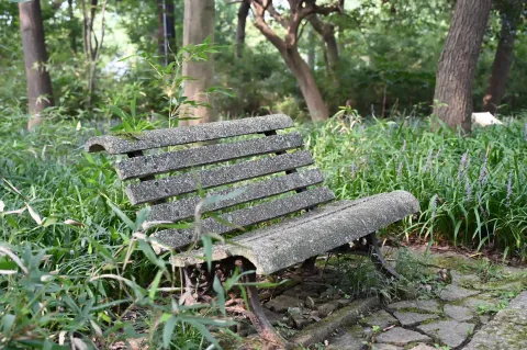 山林闲坐石凳