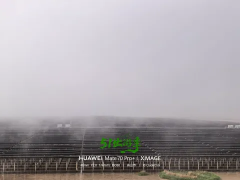 薄雾笼罩滩涂