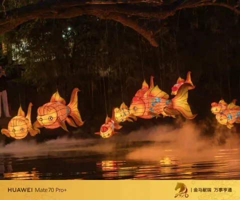金鱼花灯悬于水面