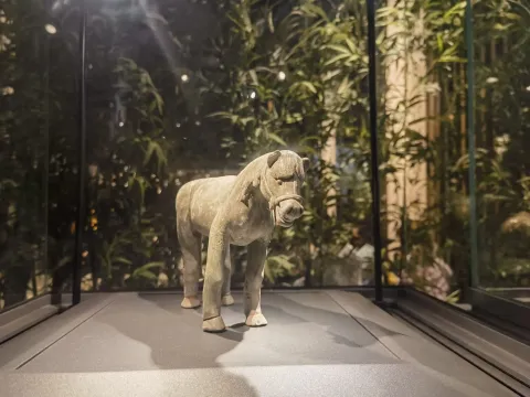 陶器文物展览