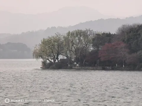 岸堤疏木，半湖轻寒
