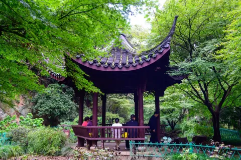林间休憩古亭