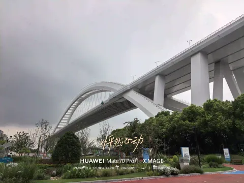 仰望卢浦大桥