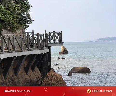 临海木栈道