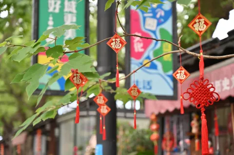 挂在枝头的福牌