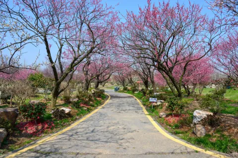 走道两侧景色