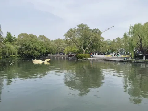 金牛出水