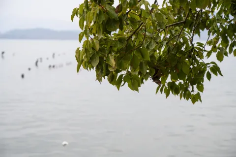 随拍