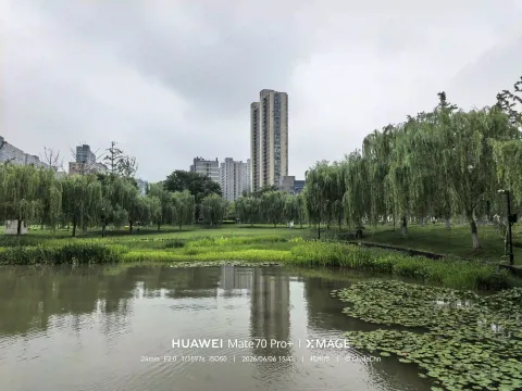 公园一隅的静美