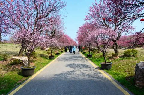 走道两侧景色