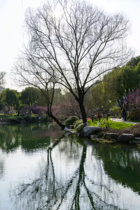 水岸边景色