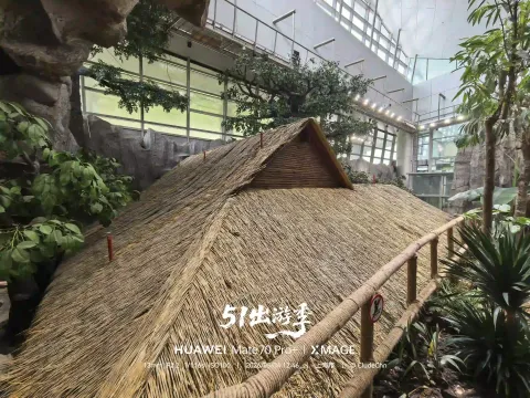 雨林茅草小屋