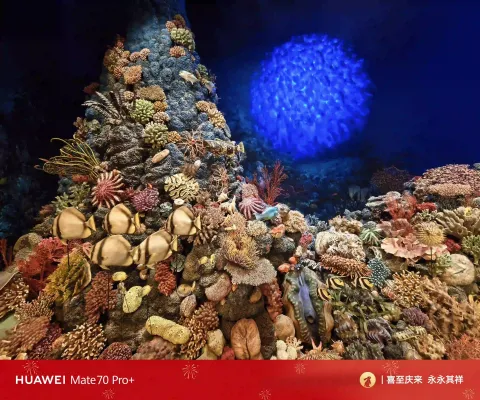 绚烂多彩的珊瑚海底生态复原