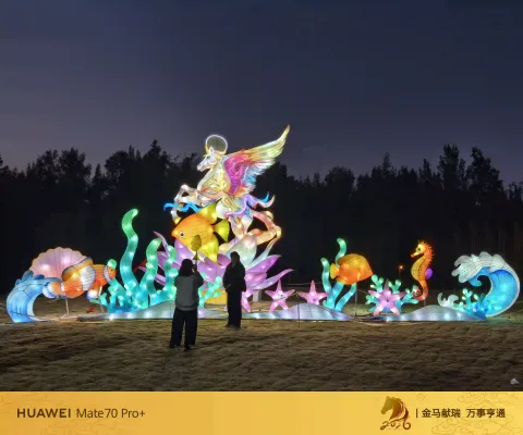 海底飞马彩灯