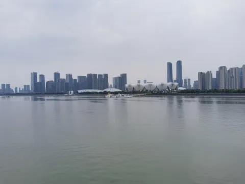 远眺南岸奥体中心