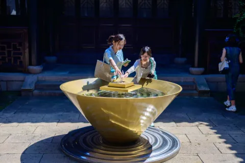 庭院水钵戏水纳凉