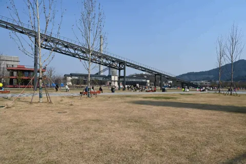 大草坪