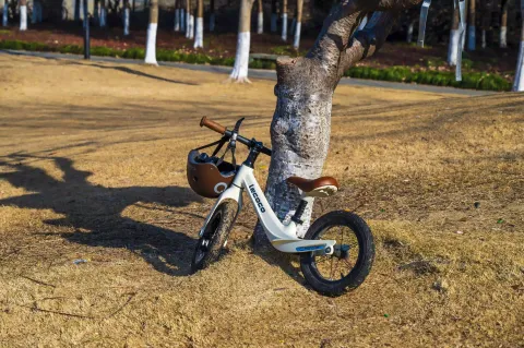 倚靠在树上的小车