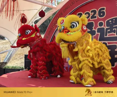 醒狮迎春