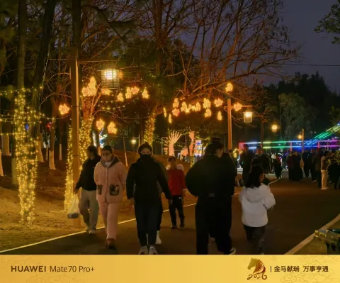 林间步道游人