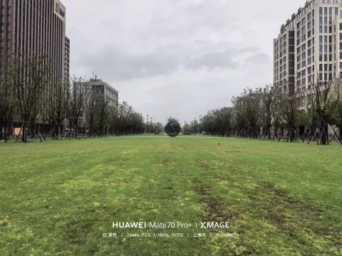 道路间的城市草坪