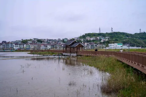 湿地水榭