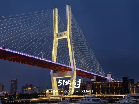 夜幕下的南浦大桥
