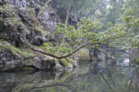 灵隐飞来峰