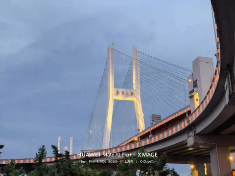 暮色南浦，桥灯初上