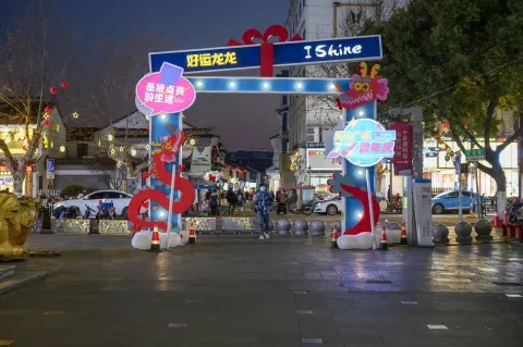 好运龙龙