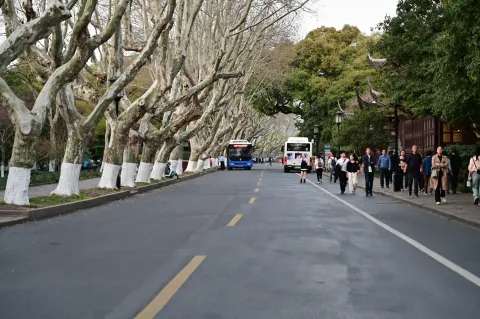 孤山路上的游客
