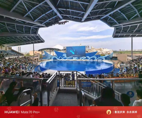 偌大剧场座无虚席，静待海洋明星登场