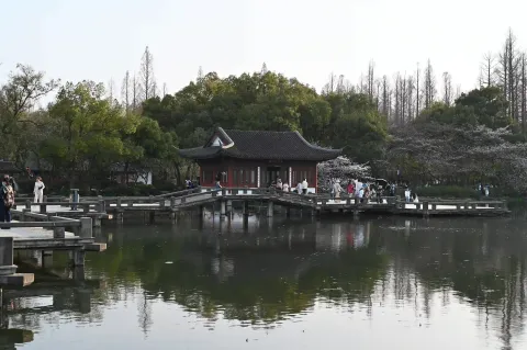 曲渡清波