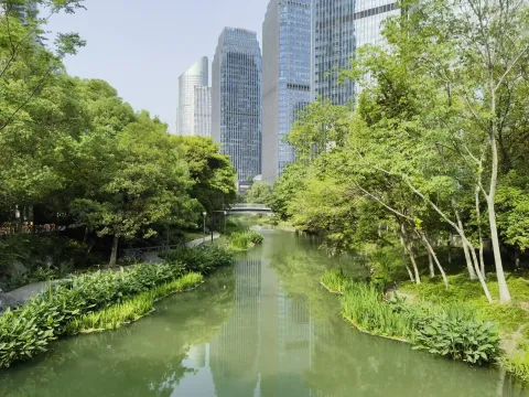 路边河景随拍