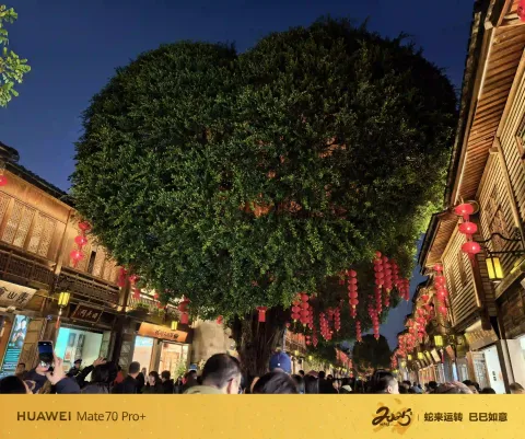 街巷网红大榕树