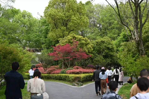 西溪湿地
