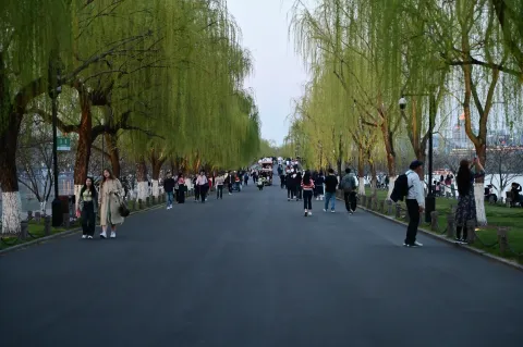 白堤的游客